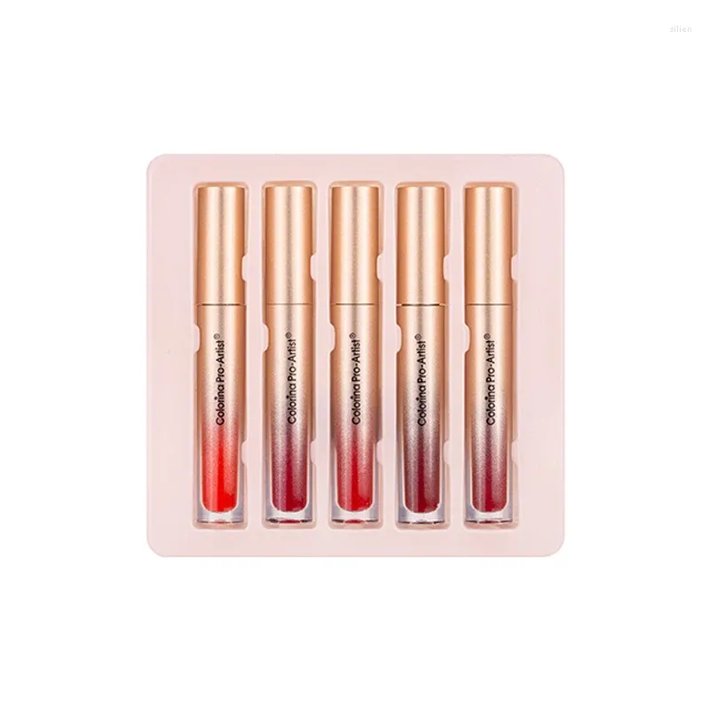Lip Gloss Trucco Set di rossetti Velluto opaco Impermeabile Idratante duraturo Smaltato Non facile da sbiadire Tinta TSLM2