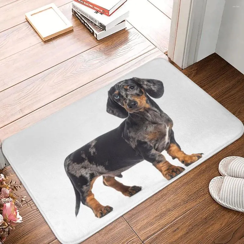 Bath Mats valp Merle Dapple Dachshund Mat Badrumsmatta för dusch Home Entrance Anti Slip Waterproof Floor Toalett