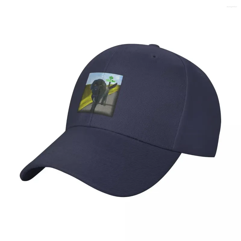 Boll Caps Dog Baseball Cap Streetwear Fluffy Hat | -F- | För män kvinnor