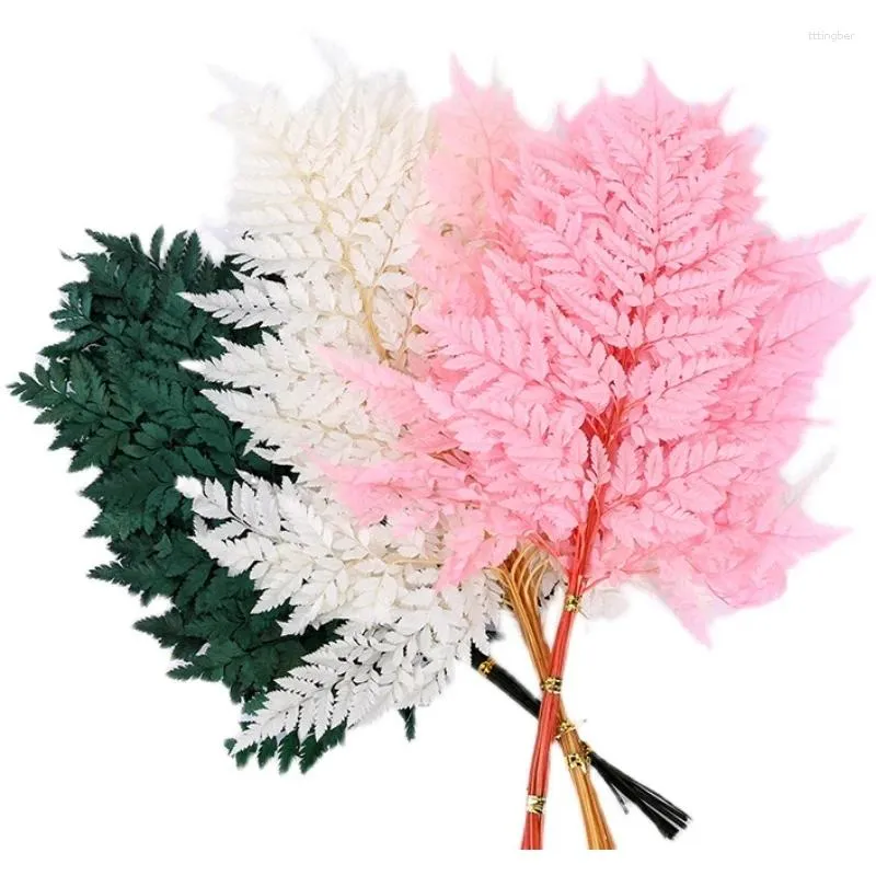 Flores decorativas 10 pcs seco natural fresco preservado planta eterna samambaias folhas secas decoração de festa diy buquês de casamento chá de panela casa