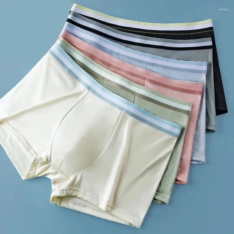 Kvinnors sömnkläder Herrplat Vinkel Underkläder Medium midja Stor storlek Bekväma och andningsbara shorts för tonåringar