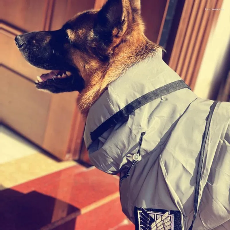 Appareil de chien Réfléchissement réfléchissant Golden Retriever à quatre pattes imperméable tout compris