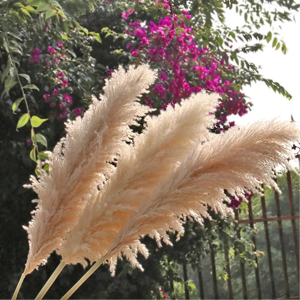80 cm flauschiger großer Blumenstrauß aus Pampasgras, natürliche getrocknete Pflanze, Blumendekoration, rustikale Herbst-Hochzeitsparty-Dekoration 240127