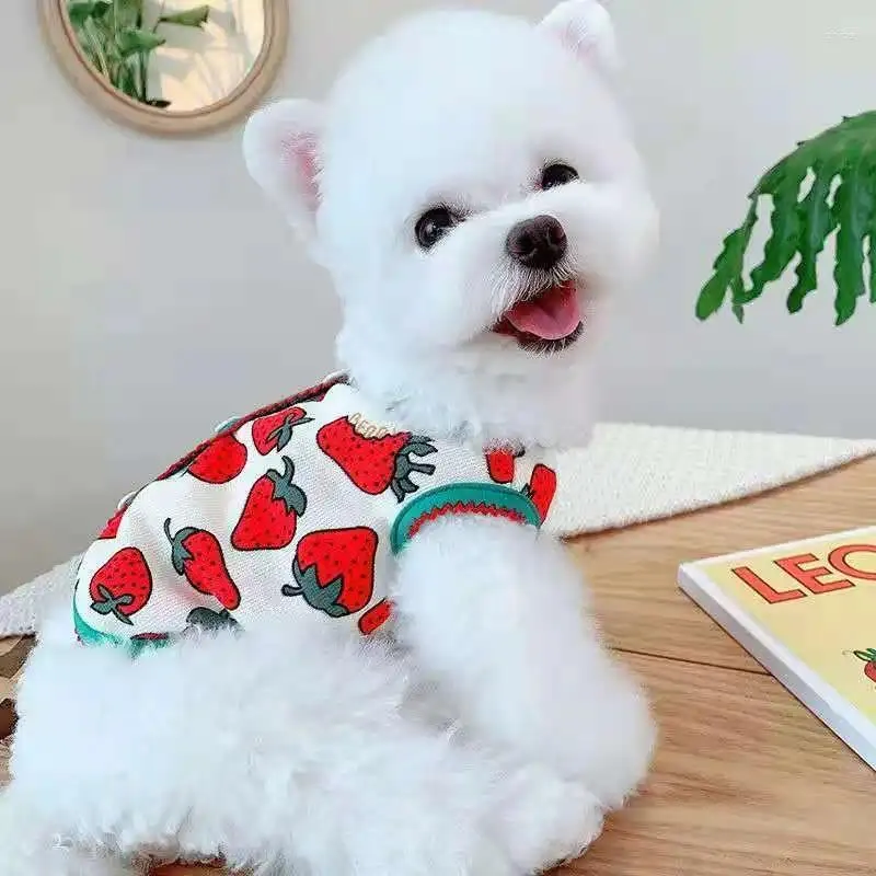 犬のアパレル小さなコスチューム猫shih pomeranian子犬服冬のペットコートシャツビチョンヨークシャーチワワマルタの服の衣装