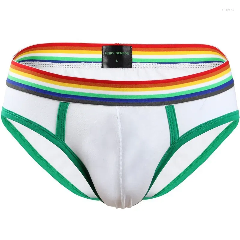 Mutande 2024 slip intimi in cotone da uomo di marca traspiranti Cuecas mutandine cintura arcobaleno per uomo sexy