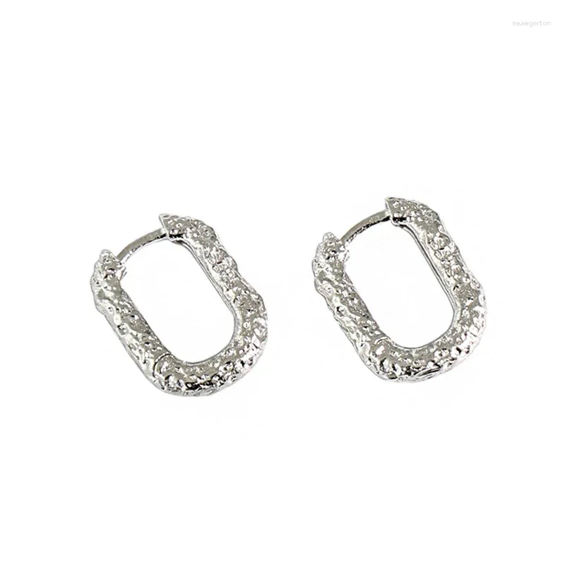 Boucles d'oreilles en argent Sterling S925 pour femmes, Version coréenne de Niche Ins, Texture de cercle elliptique, fourniture en gros