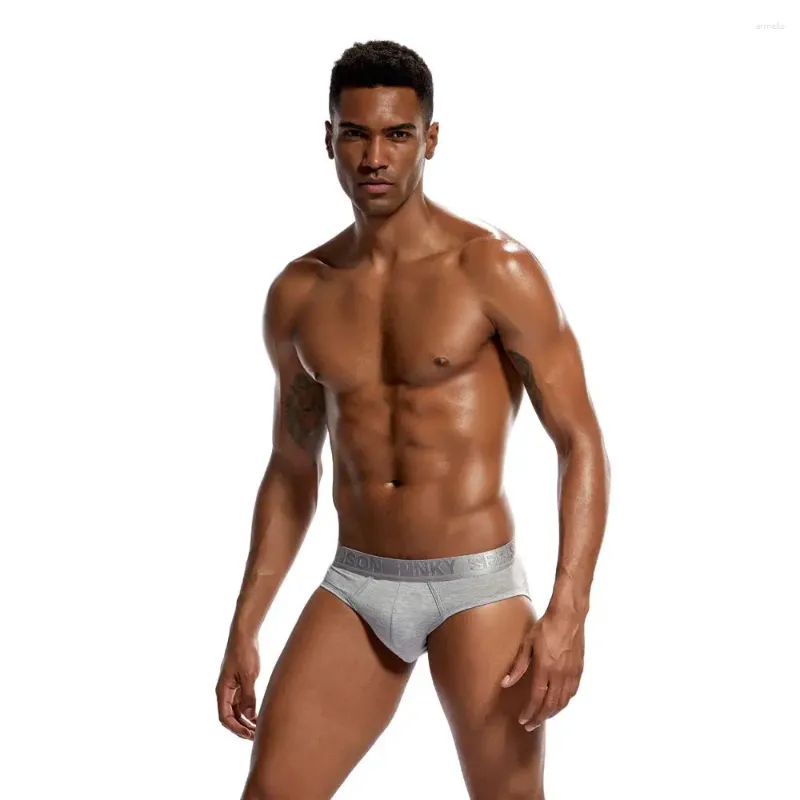 Underpants Men Modal Briefs Sexy Breathable Soft High-Quality Wide Belt Comfortable Men'S Shorts Underwear Slips