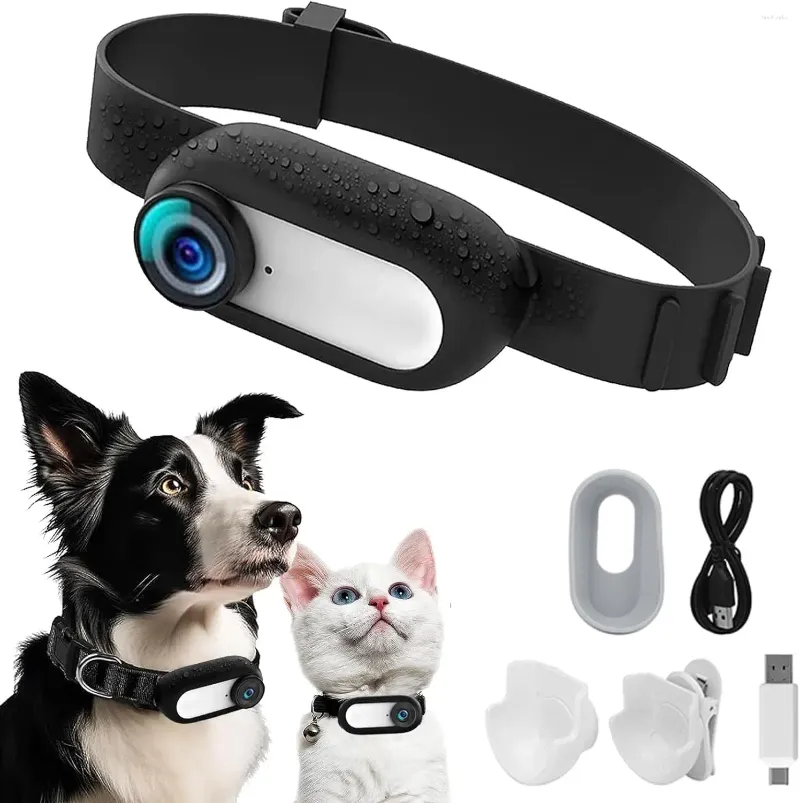 Hundkrage Tracker Collar No WiFi behövs kattkamera Sport/action med videoregister utomhus trådlösa husdjursmaterial