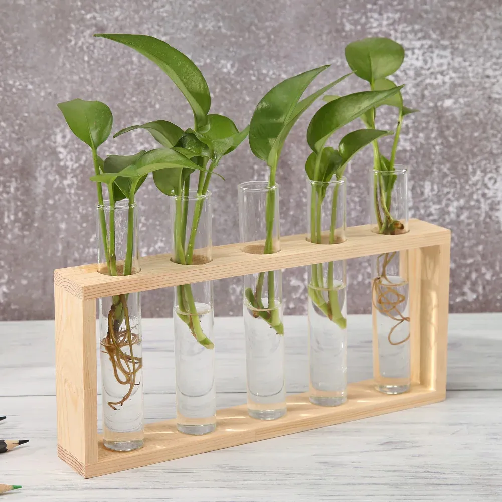 Kreative transparente Vase aus Glas, Holzrahmen, Hydrokultur-Blumentopf, Bonsai für Haushalt, Wohnzimmer, Büro, zarte Dekoration 240122