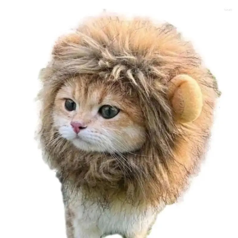 Cat Costumes Lion Mane Kitten Dress Up Peruka Myble Fancy Fancy Fair Hat na Boże Narodzenie Halloween