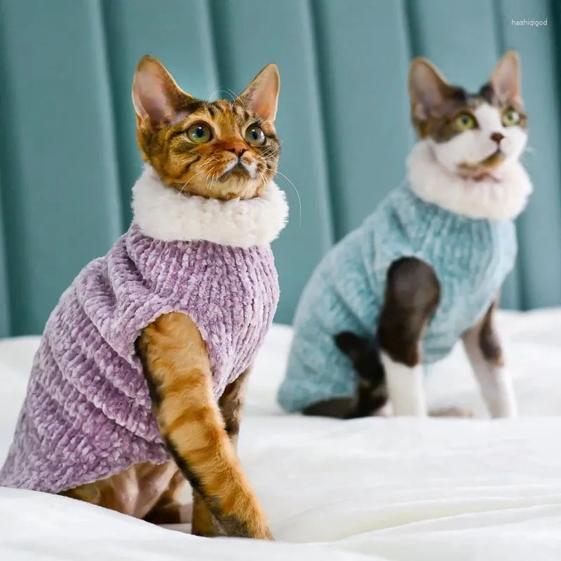 Kattdräkter Sphynx kläder vinter varm mjuk tröja outfit mode hög krage kappa för kitty hårlös pyjamas skjorta