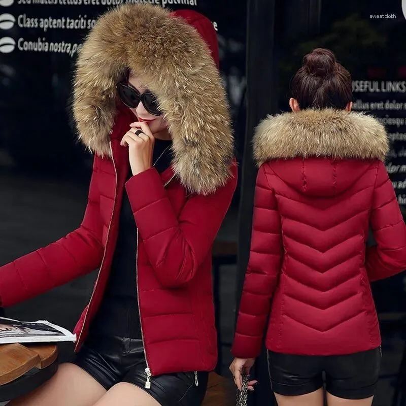 女性のトレンチコート冬のベルベットジャケットコットンパッドファッションフード付きファーカラー厚い暖かい雪の街頭