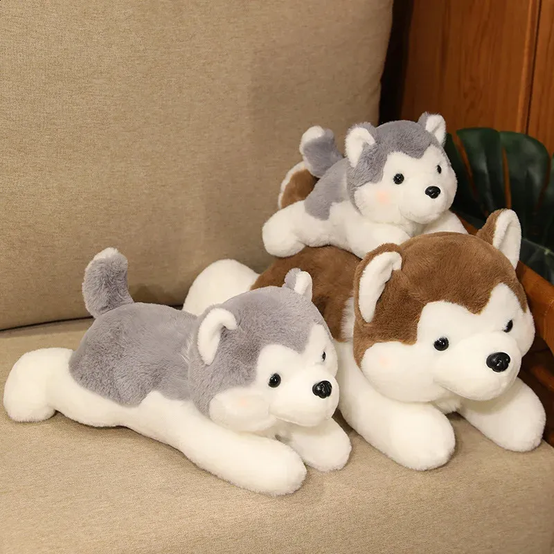 Lindo perro Husky juguetes de peluche Animal relleno suave tamaño grande almohada esponjosa muñecas Kawaii muebles decoración niños regalo de cumpleaños 240131