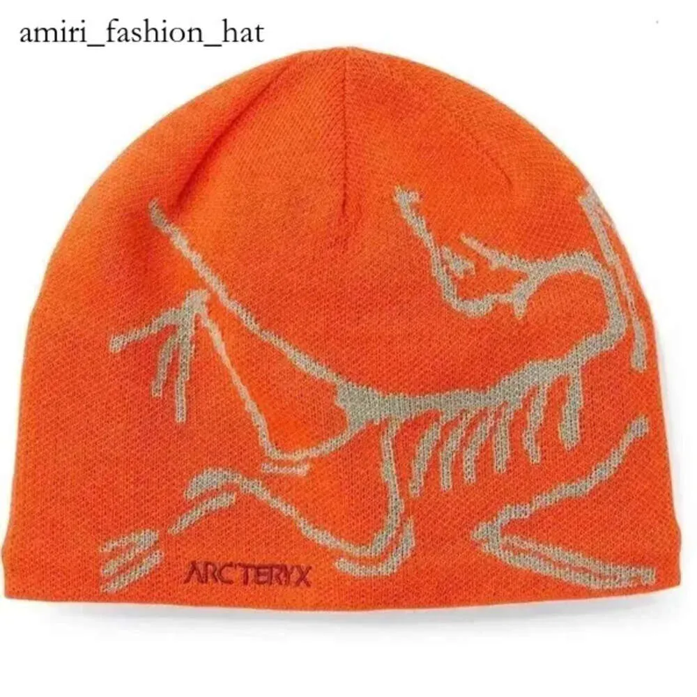 Arctery Beanie Ancestor Bird Hat Arc Men Arctery Hat Heren Winddicht en modieus Gebreide wol Breimuts Man en vrouw hoeden 5821