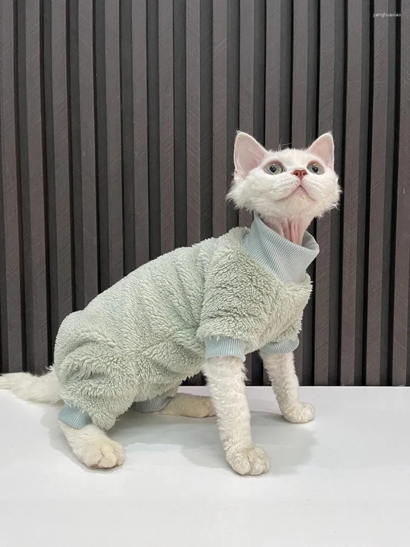 Kedi Kostümleri Lüks Sıcak Kumaşlar Sfenks Sweatershirt Devon Rex Coat Ceket Belktleneck Pamuklu Pet Altı Yemek Yavru Yavru