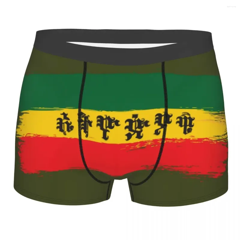 Mutande Bandiera dell'Etiopia con boxer amarico etiope per Homme maschio Rasta Giamaica orgoglioso intimo mutandine slip morbidi