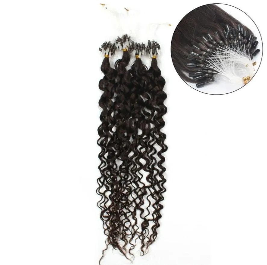 ELIBESS HAIRMicro anneau Extension de cheveux 08gstrand 200 brinslot 1 1B 4 6 couleur vague d'eau boucle Micro anneau Extensions de cheveux 5631185