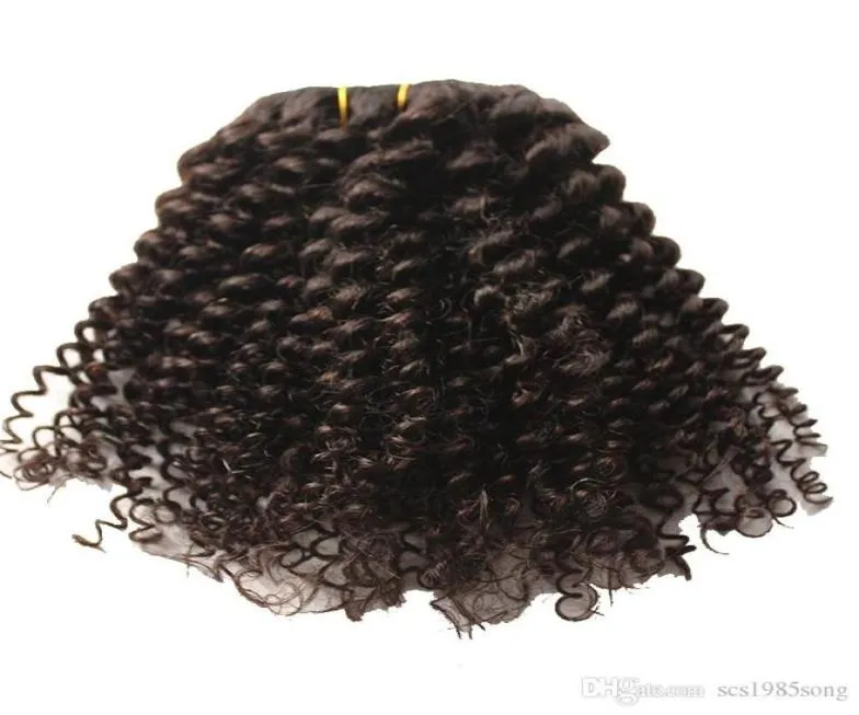 Afro Kinky Curly Clip in Human Hair Extensions Brasilian 100 Remy Hair 120gset Color 1 4 Option5936371