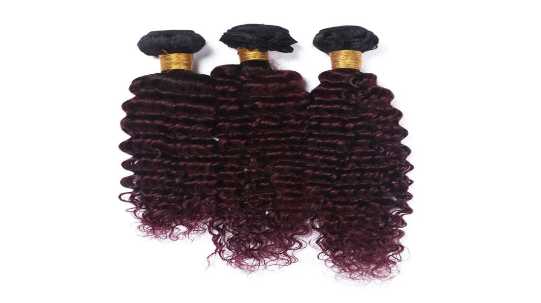 Burgundy Ombre Deep Wave Human Hair Bundles 3pcslot 99J 와인 레드 컬러 헤어 확장 말레이시아 처녀 처녀 피해자 헤어 4424938