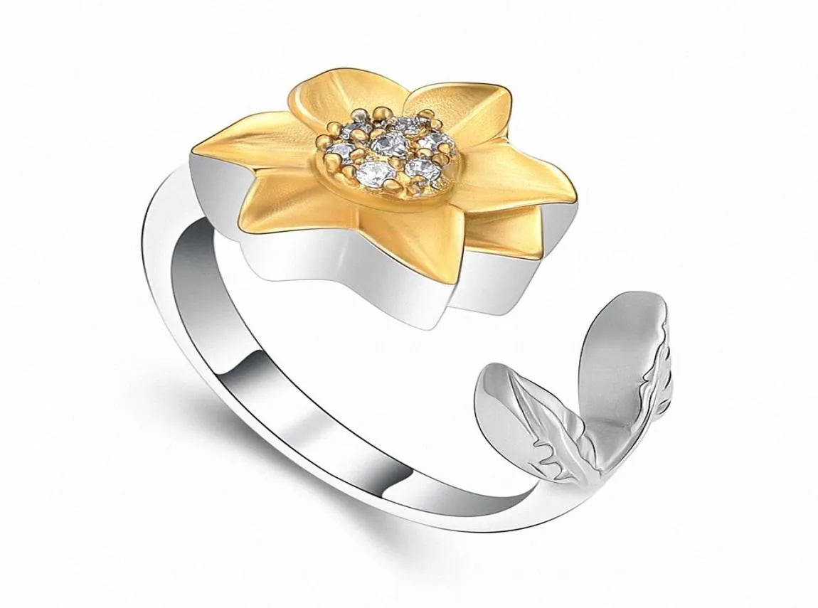 Cremation Ring for Ashes Keepsake Rostfritt stål Ashes Hållare Keepsak Memorial Urn Finger Ring for Women X7YS#8932291