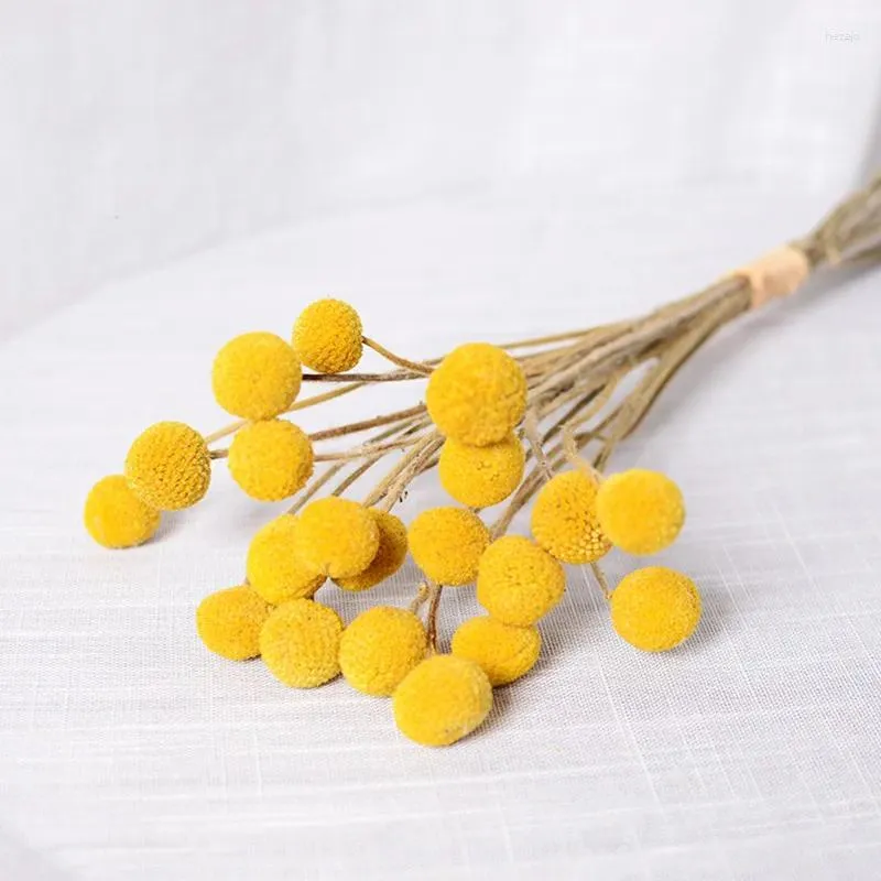 Decorative Flowers 10pcs Natural Dried Flower Golden Balls Bouquets Billy Button Dekoration Yellow Romantic Floral Wedding Home Decoration