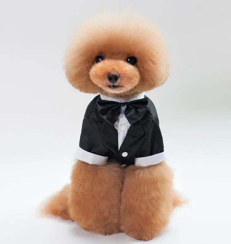 Odzież dla psa Tuxedo Costume Formal Shirt Wedding Black Jacket Suit Ceremonia Puppy Ceremonia Małe koty