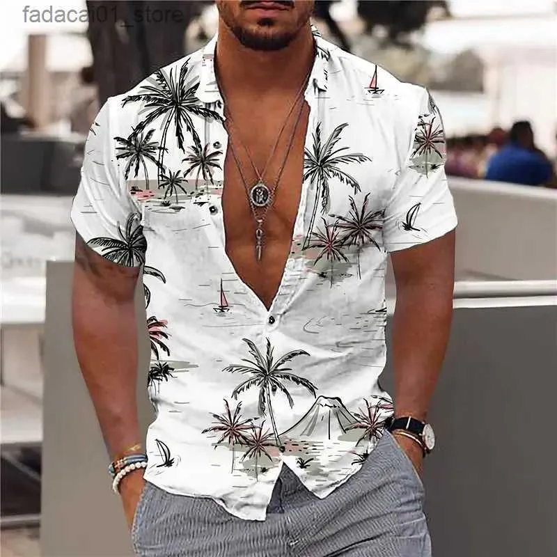 T-shirts masculins 2023 coco-coco masculine 3D chemise de plage hawaïen imprimée 5xl t-shirt à manches courtes à manches courtes Q240426