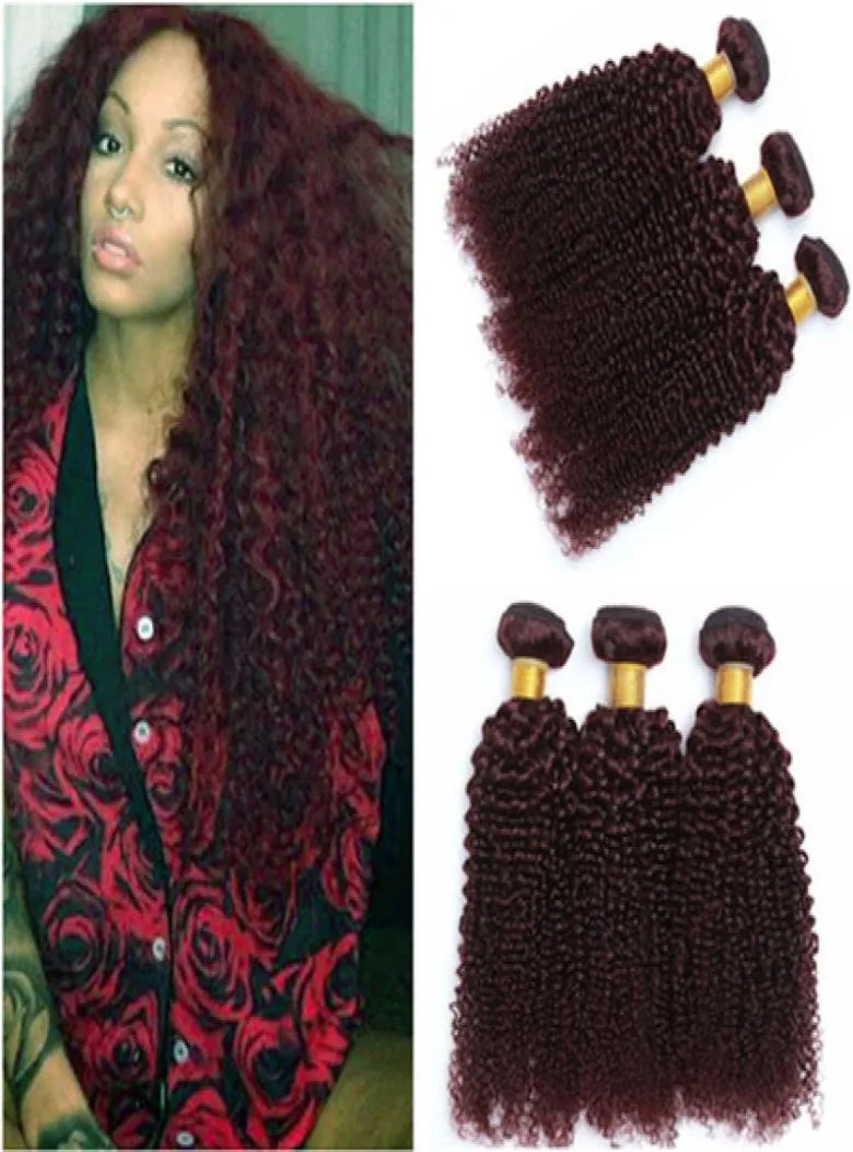 99J Wijnrood Menselijk Haar Bundels Aanbiedingen Kinky Krullend 3 Stuks Bordeaux Rood Maagdelijk Peruaans Krullend Menselijk Haar Weeft Extensies 100gBundl9110551