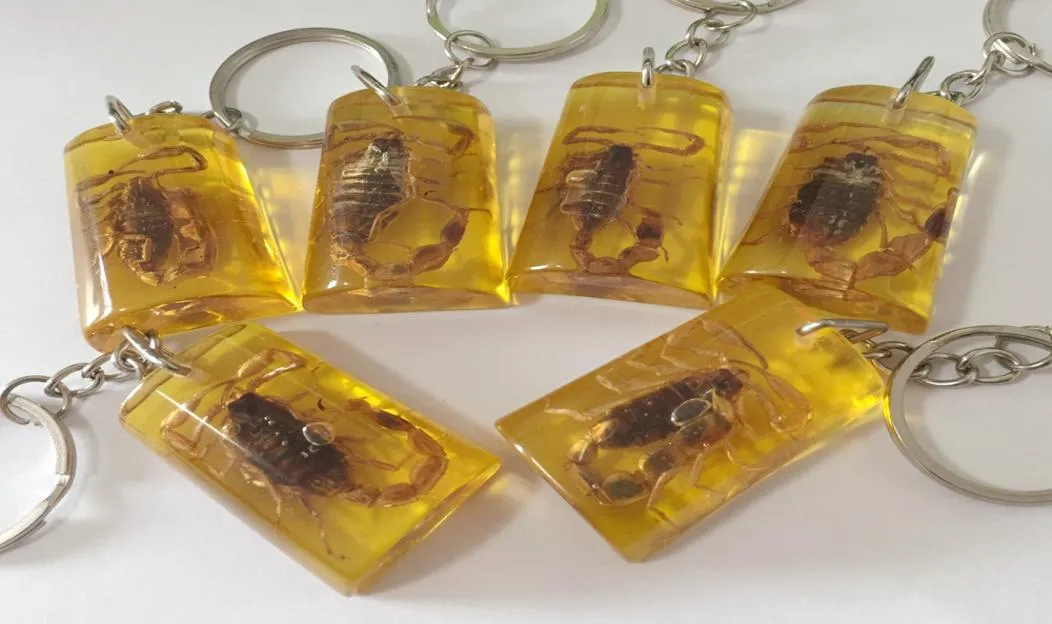15 PCS Böcek Örneği Yapay Amber Scorpion Mücevher Tahsisi Hediye Aksesuarları2467097