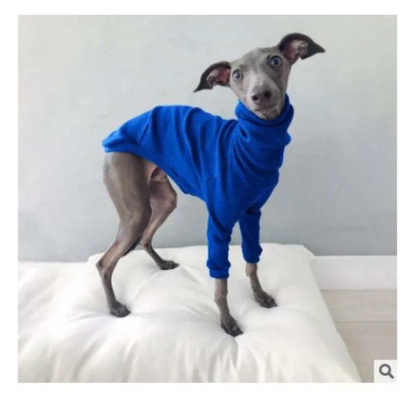 Hundkläder Solid Color High Neck Thread Two-Bent Clothes Universal bekväm varma husdjur Enkla kläder