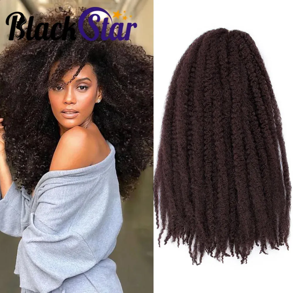 Black Star Braids Hairs Crochet Ombre Afro Kinky ناعمة الاصطناعية الصخرية الكروشيه الكروشيه الشعر للنساء 240118