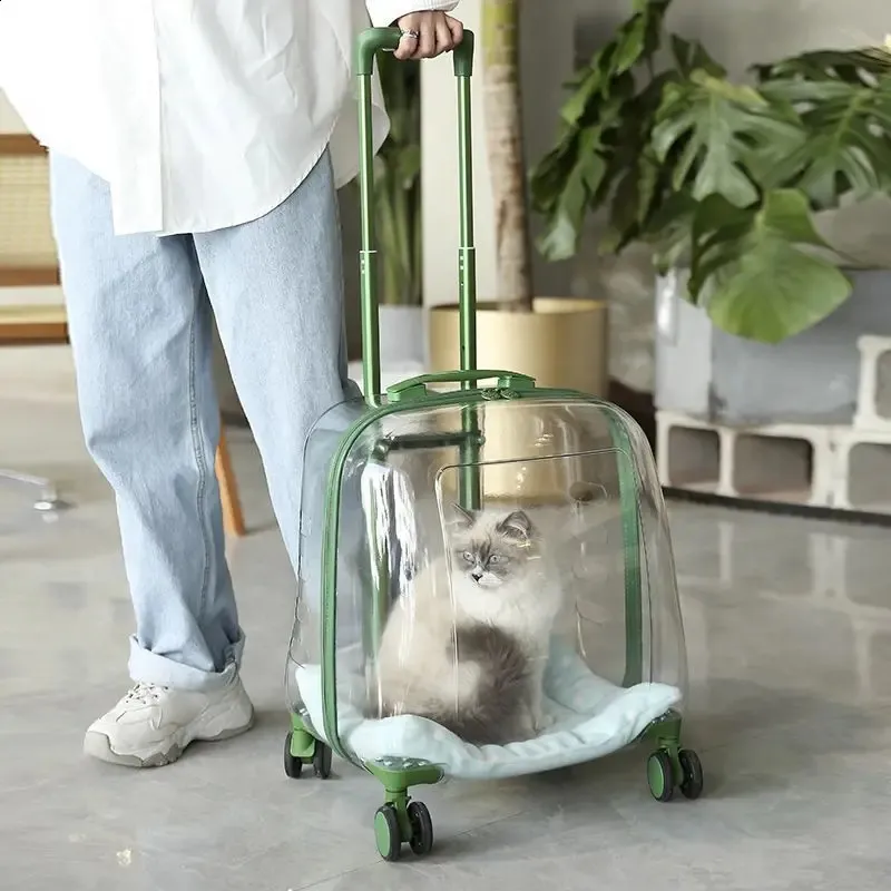 Pet Cat Dog Trolley resväska Bagage med hjul som bär transparent andningsbar ryggsäckvagn 240131