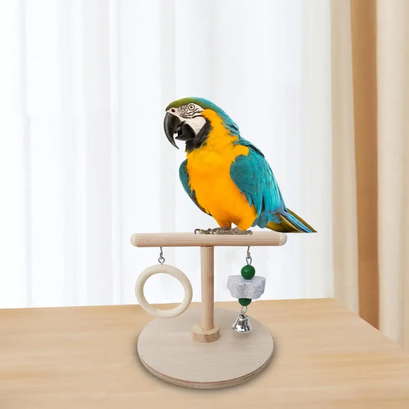 Andra fågelförsörjningar papegojor PlayStand Tablett Play Training Stand Platform för Conures Finches Macaw Parakets cockatoo