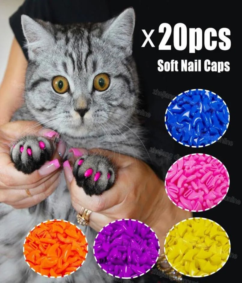 Silikon Soft Cat Nail Caps Cat Paw Claw Pet Nail ProtectorCat Nail Cover med lim och Applictor G11237572472