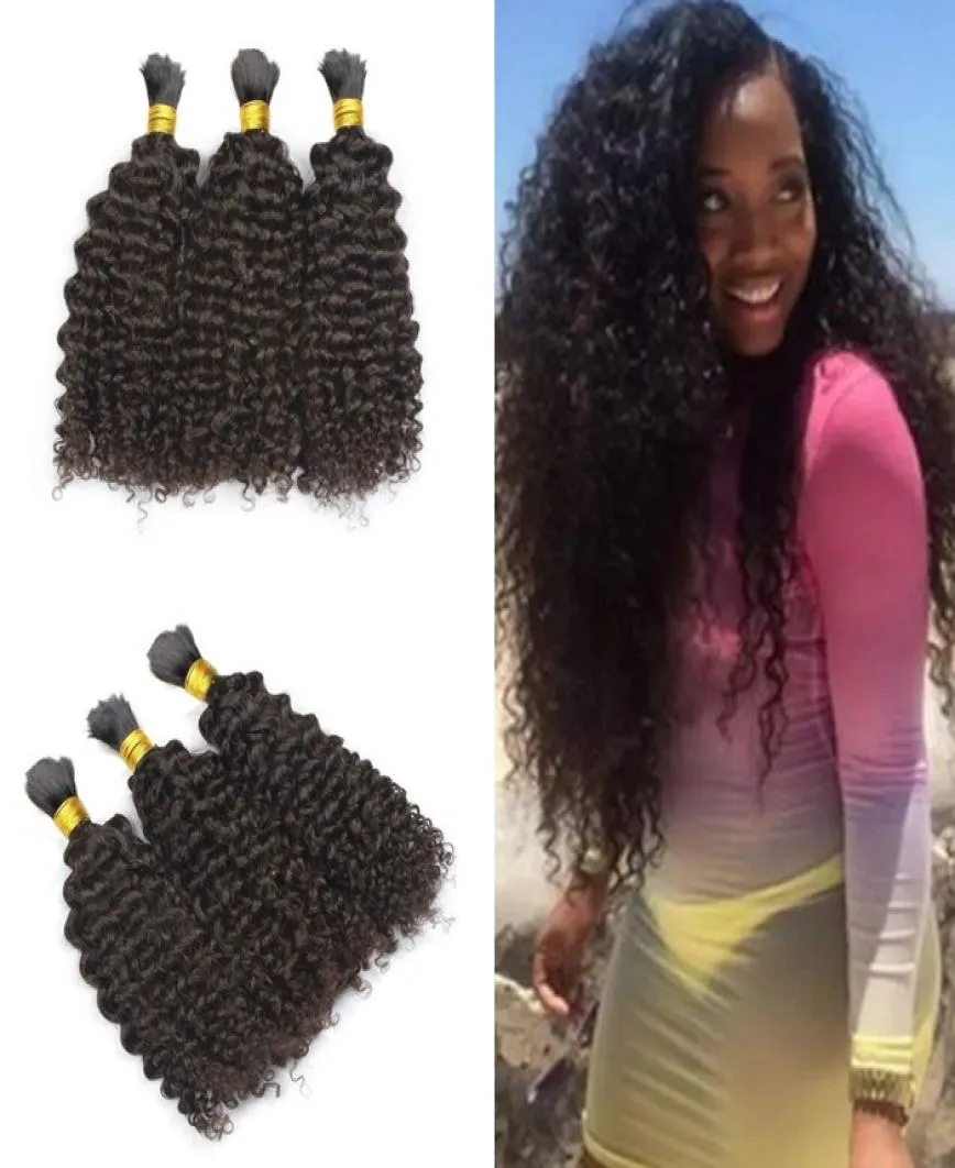Moğol Afro Kinky Kıvırcık İnsan Saç Örgü Saç Toplu Ek Not 100g Sınıf 6a İşlenmemiş Doğal Siyah Saç1009190