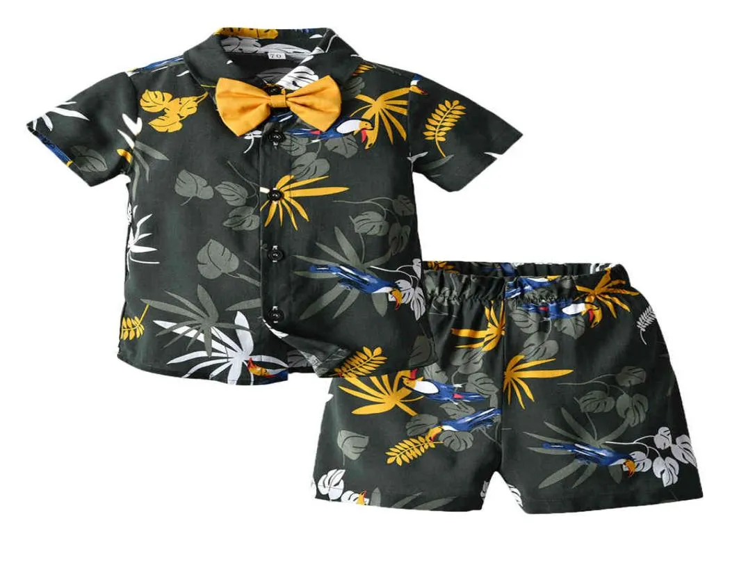 Top and Top Childrens Hawaiian Style Clothes Set Kids Cotton Animal Design Short ShirtsPants Little Boys Casual 2Pcs Outfits 21059677395