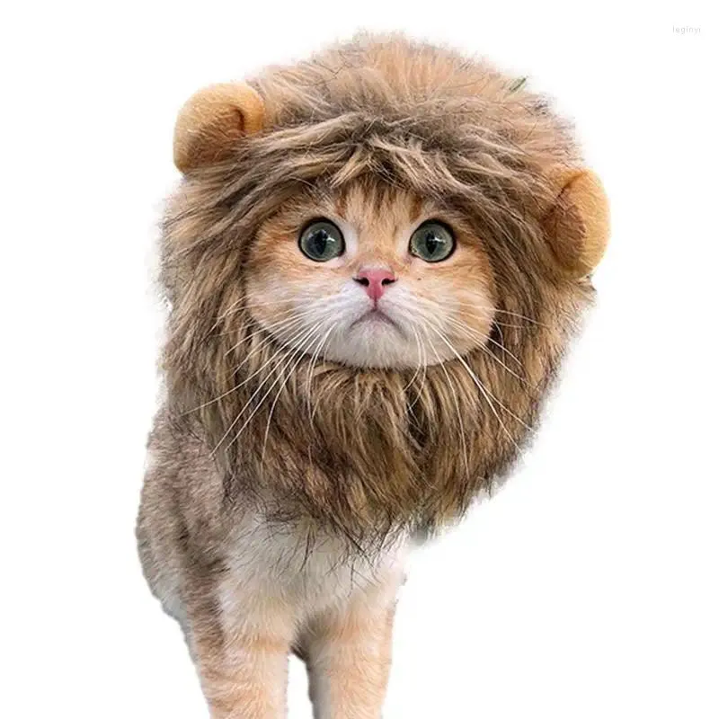 Kattdräkter lejon huva man peruk för kattunge klä upp tvättbara roliga fancy kostym hår hatt jul
