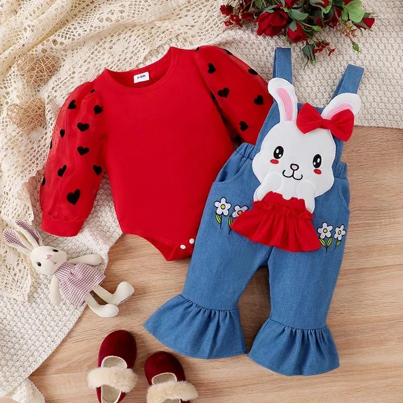 Ensembles de vêtements en tout-petit bébé bébé bébé fille coeur à manches longues avec un pantalon général de lapin de dessin animé
