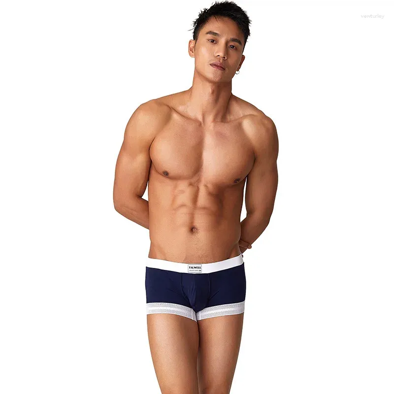 Underpants Gays Ice Silk Underwear For Men's Simple Fashionable Comfortable Single Layer Boxer Shorts U Convex Pouch White Lace Ankle Cuffs