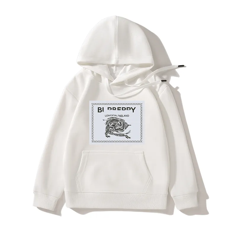 Designer Kids Hoodies: Luxury Sweatshirts for Boys and Girls, Soft and  Stylish Sweaters