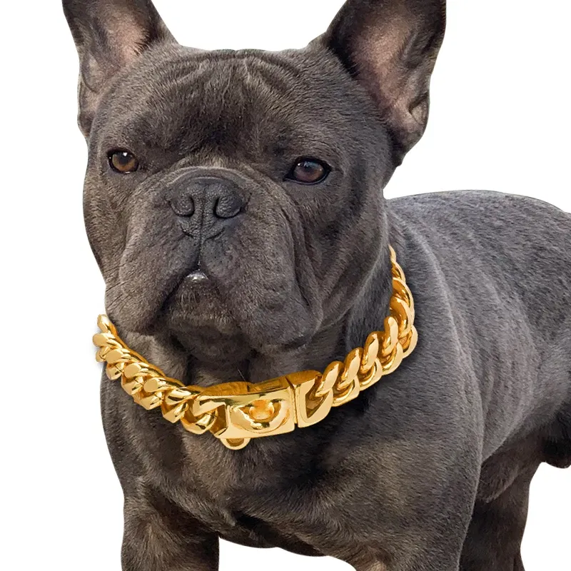 Kołnierze mocne złote kołnierz ze złotym psem stal nierdzewna łańcuch łącza kubańskiego o szerokości 14 mm metalowy naszyjnik dla zwierząt do małego dużego dużego psa