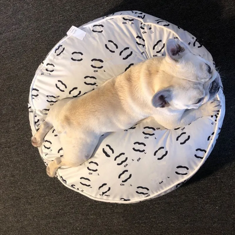 From Puppies to Seniors: Why Washable Pet Beds are Perfect for Every Age