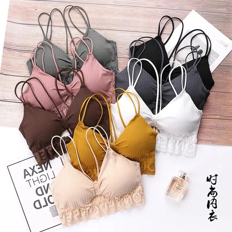 Canottiere Canotte Filo A righe Spalline in pizzo Lettere inglesi Petto avvolto Bellezza Indietro Intimo da ragazza Sport Reggiseno sexy Canotta Tubo