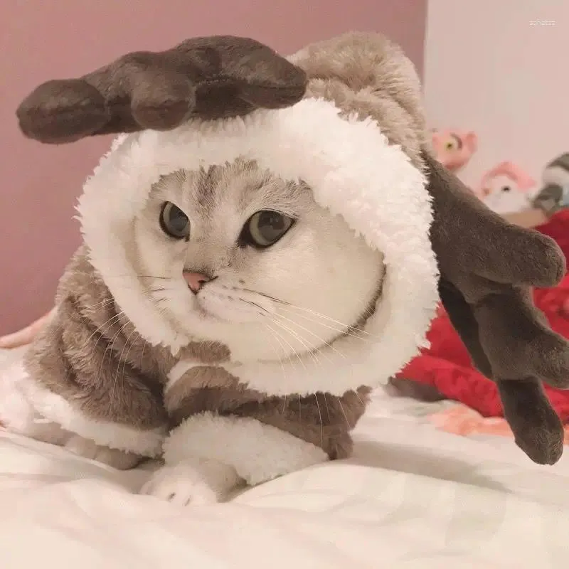 猫の衣装猫のためのクリスマスエルク