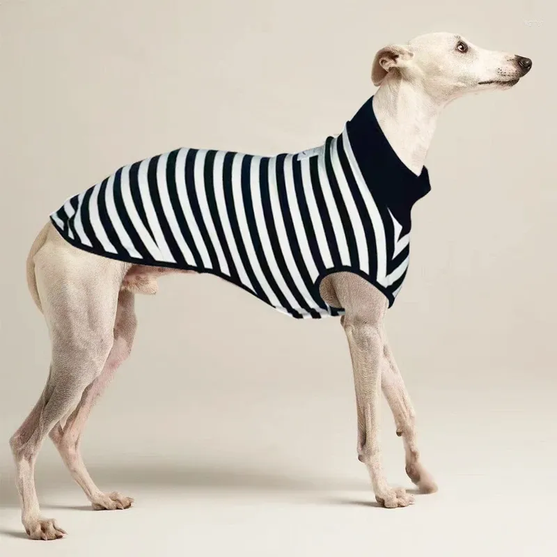 Hundkläder italiensk greyhound klänning randig stretch sommarväst svart whippet