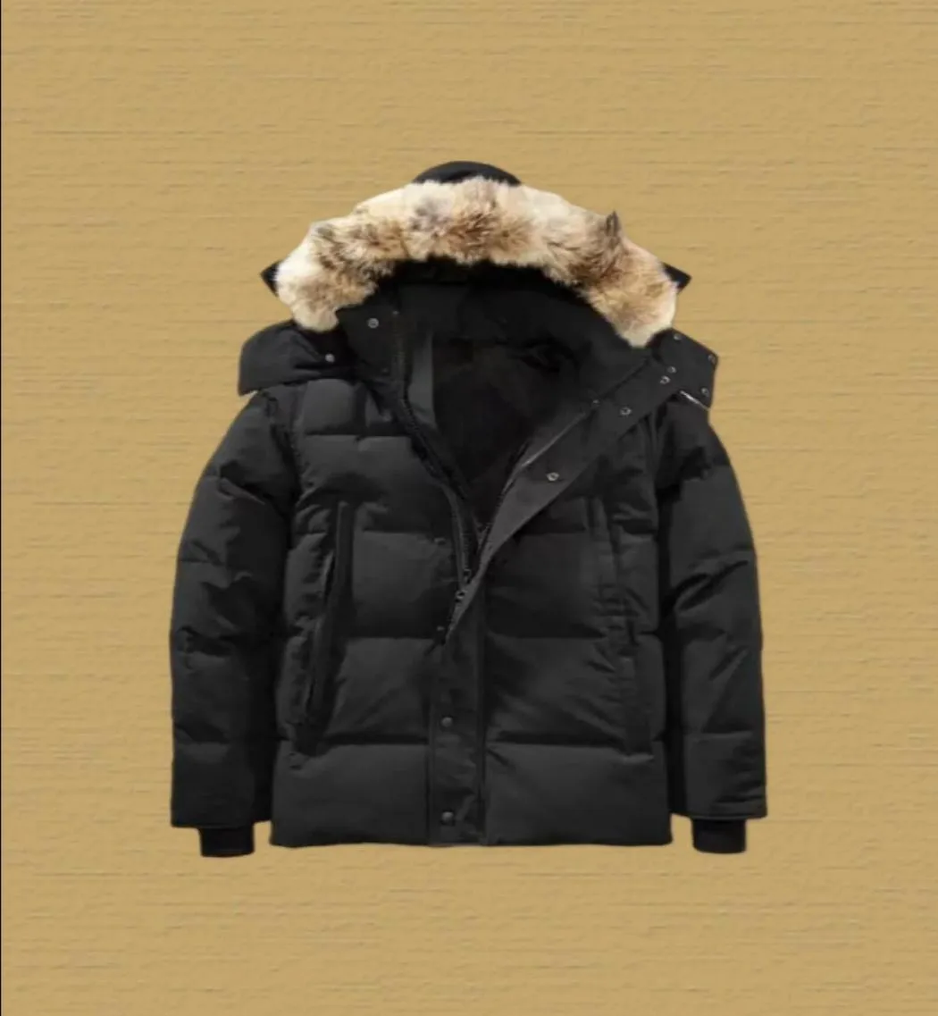 Canada Piumini Uomo Designer Vera pelliccia di coyote All'aperto Wyndham Giacca a vento Jassen Capispalla Con cappuccio Fourrure Manteau Piumino Cappotto Hiver Parka Doudoune XXL