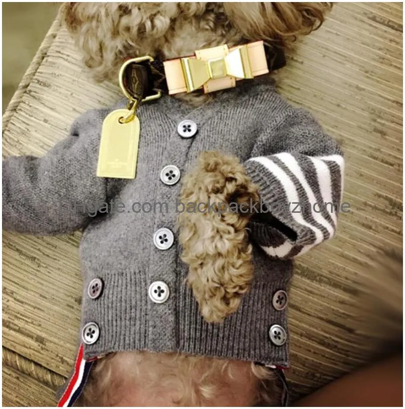 Dog Collars Leashes最新のデザインペットセットボックスファッション印刷パターンTeddy Schnauzer新年の贈り物