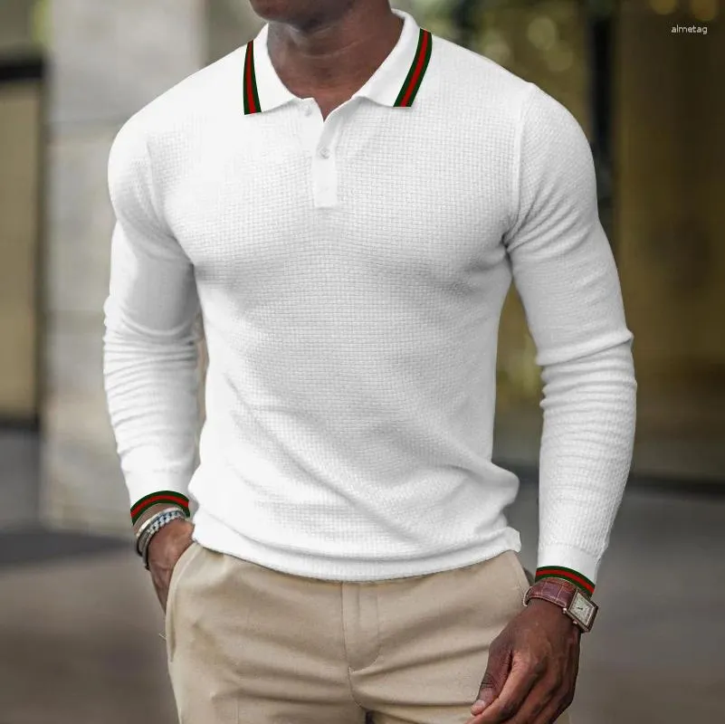 Polos masculinos 2024 moda polo camisa cor sólida primavera e outono lapela algodão casual bottoming manga longa camiseta