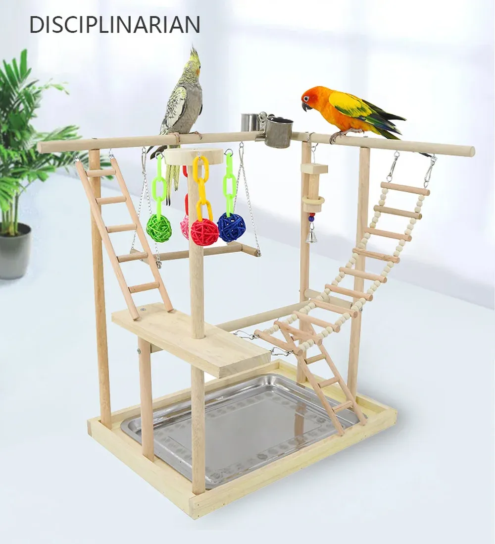 Supplies Parrots Playstand Bird Playground Wood Perch Gym Stand Playpen Ladder Toys Exercise Playgym Feeder Cups Toys Exercise Play