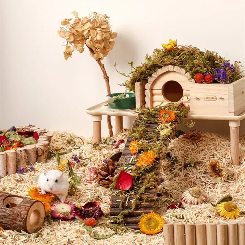 Cages Literie de Hamster à fleurs séchées naturelles, tamia hérisson, literie pour petits animaux, fournitures d'aménagement paysager pour petits animaux, accessoires pour rats